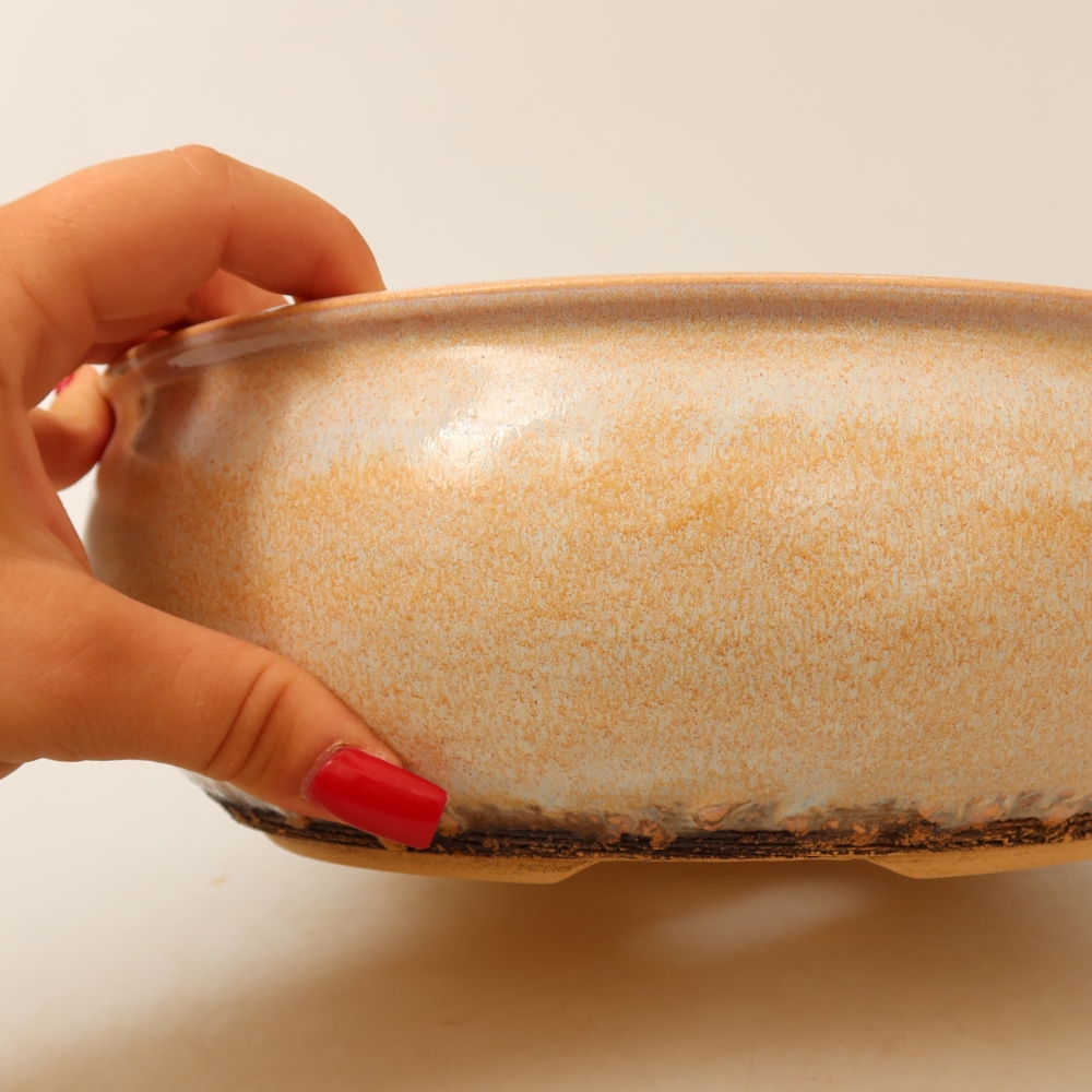 Vaso per bonsai in ceramica 24 x 24 x 9 cm, colore beige