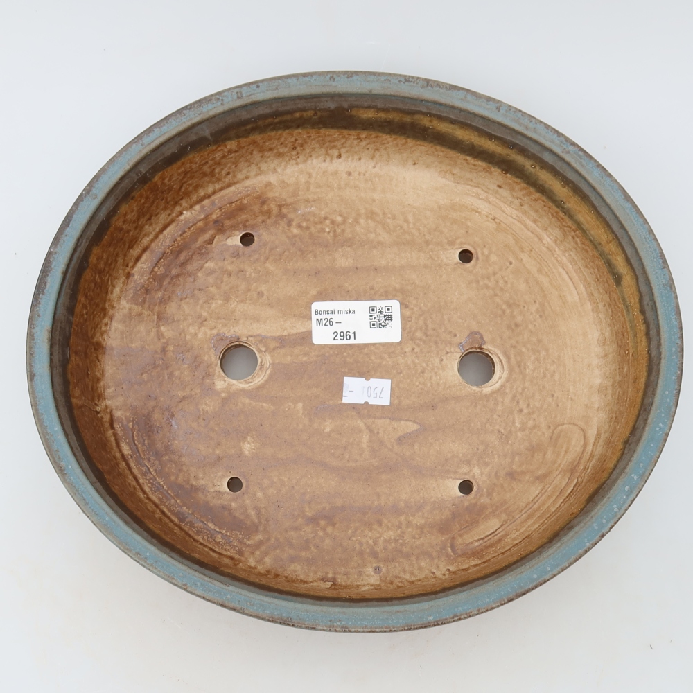 Vaso in ceramica per bonsai 27 x 24 x 5,5 cm, colore blu