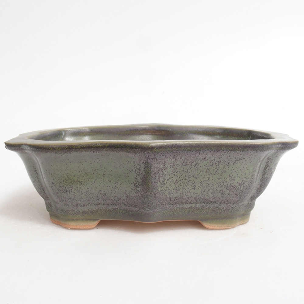 Ciotola per bonsai in ceramica 15,5 x 11,5 x 4,5 cm, verde