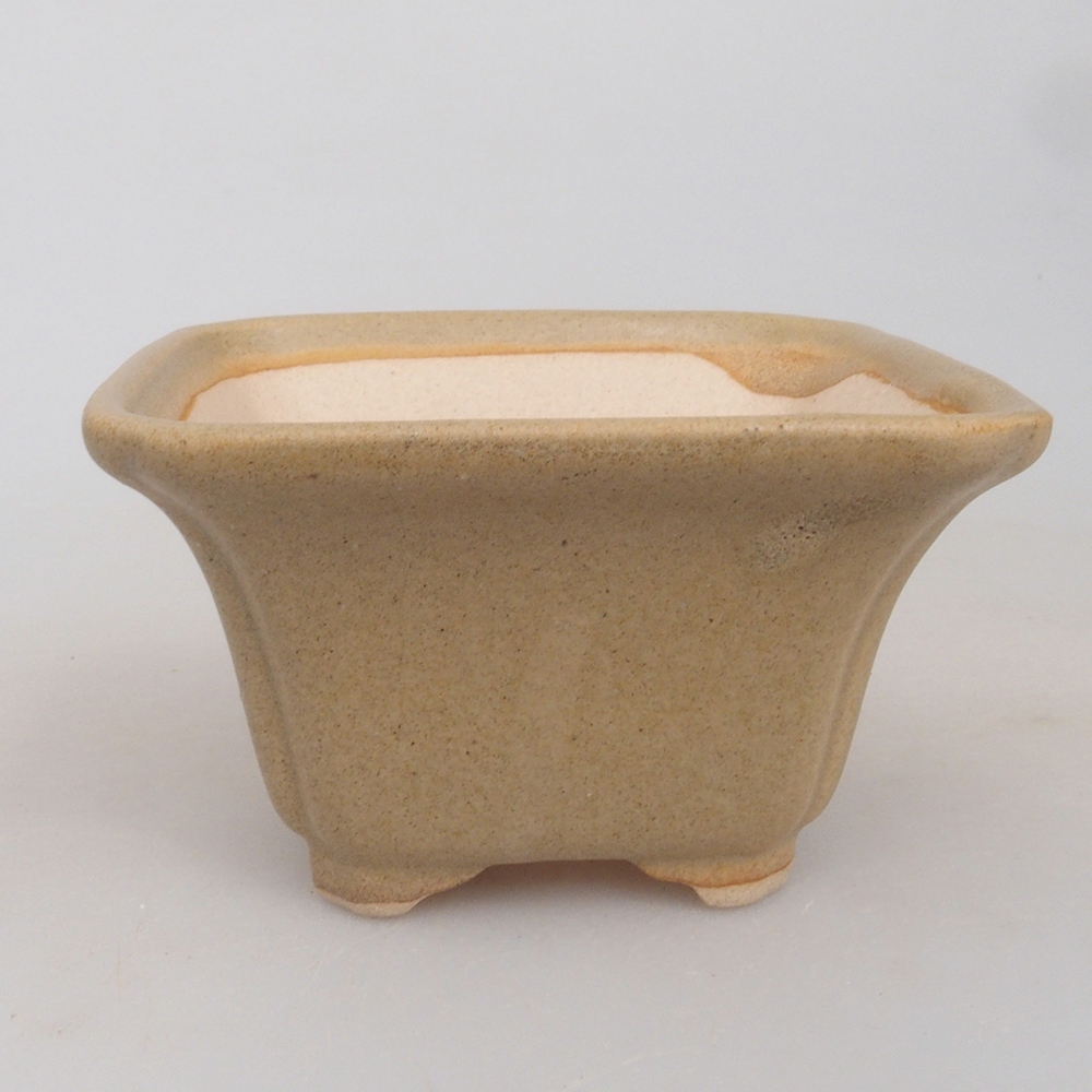 Mini bonsai 7,5 x 7,5 x 4,5 cm, marrone