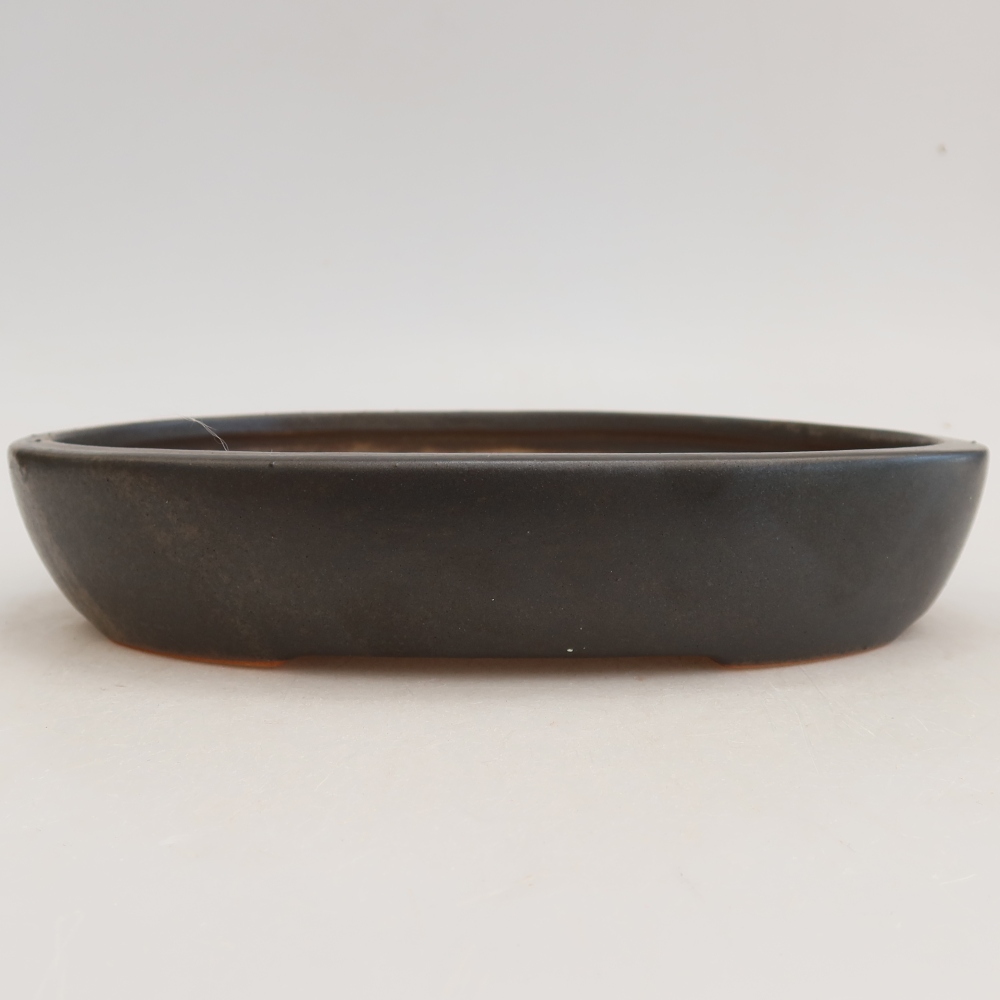 Vaso da bonsai in ceramica 22 x 17 x 4 cm, colore grigio