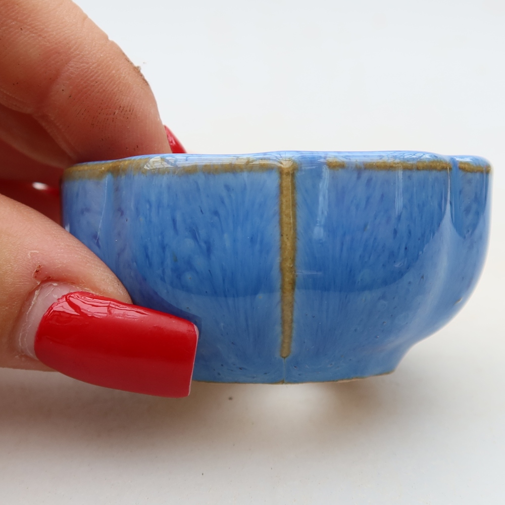 Vaso da bonsai in ceramica 6 x 6 x 3 cm, colore blu