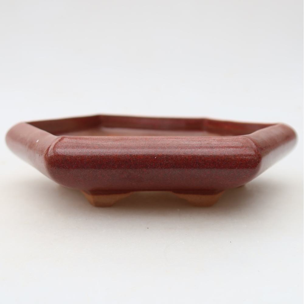 Vaso da bonsai in ceramica 17 x 15 x 4 cm, colore bordeaux