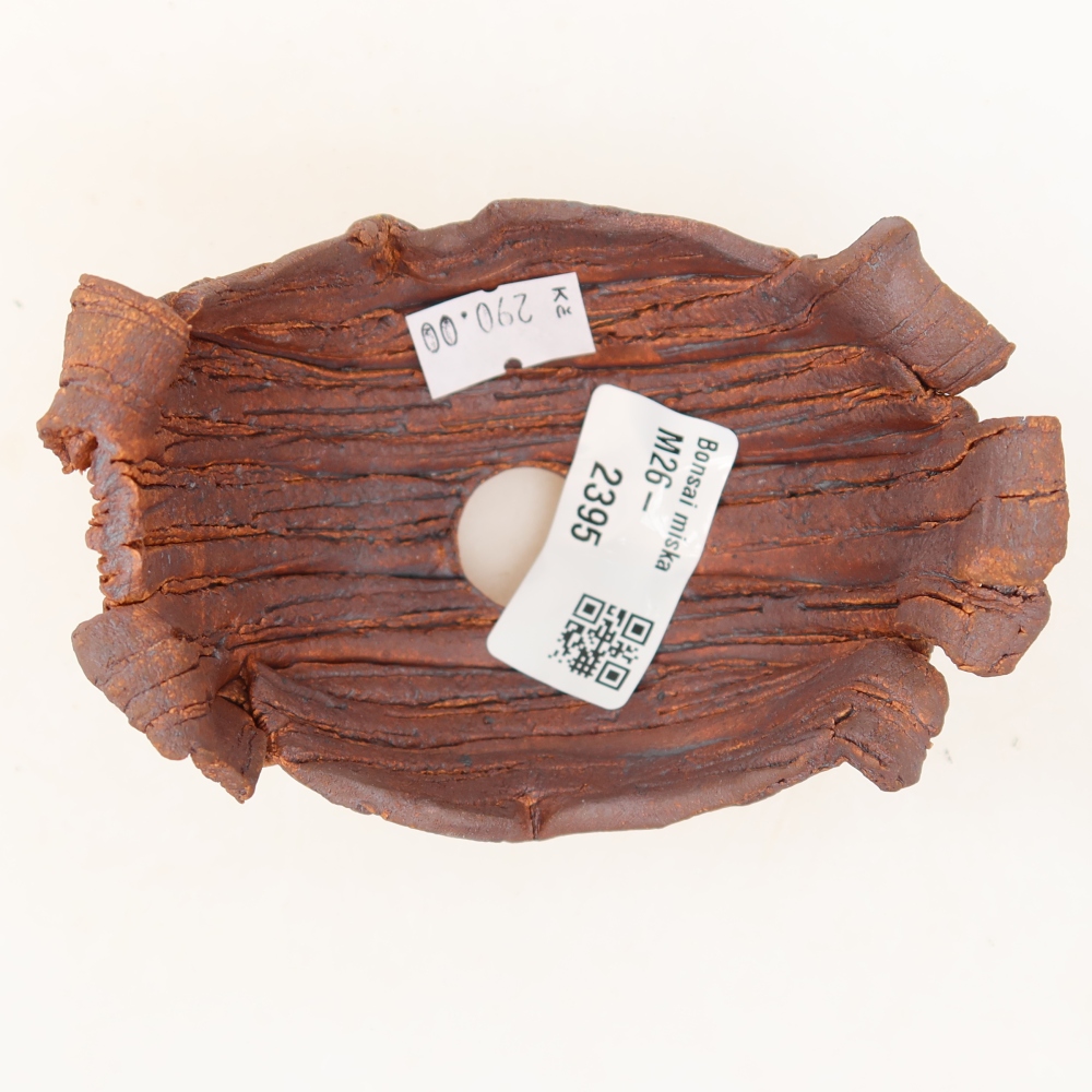 Guscio in ceramica  10 x 7,5 x 7 cm, colore marrone