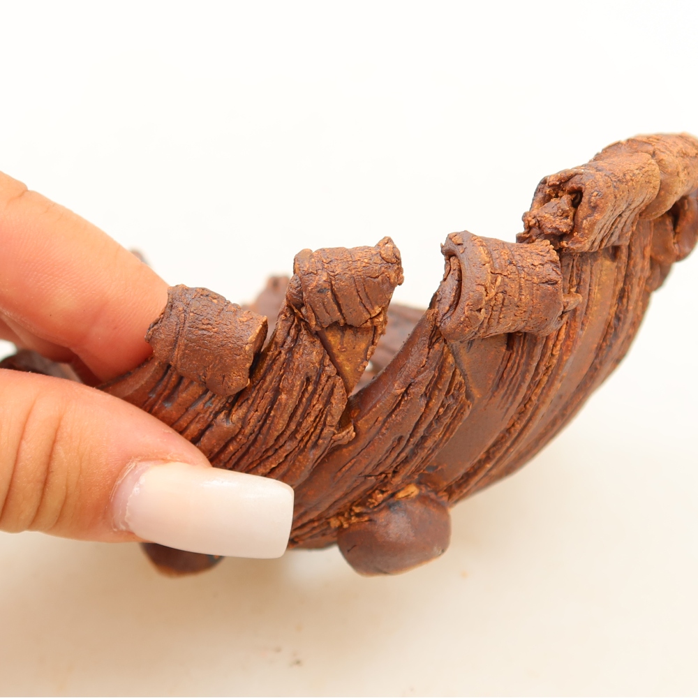 Conchiglia in ceramica  12 x 8,5 x 5,5 cm, colore marrone