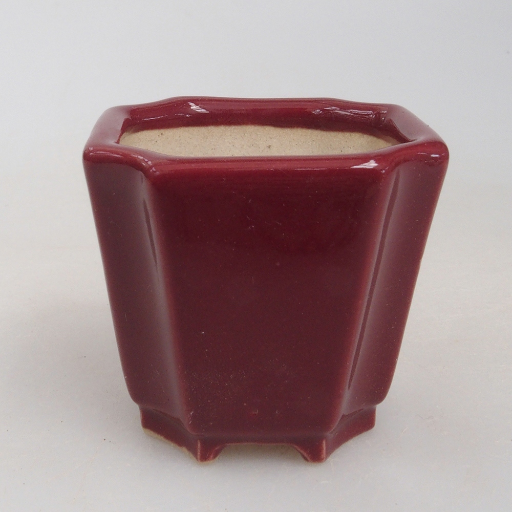 Mini bonsai 4 x 4 x 4 cm, bordeaux