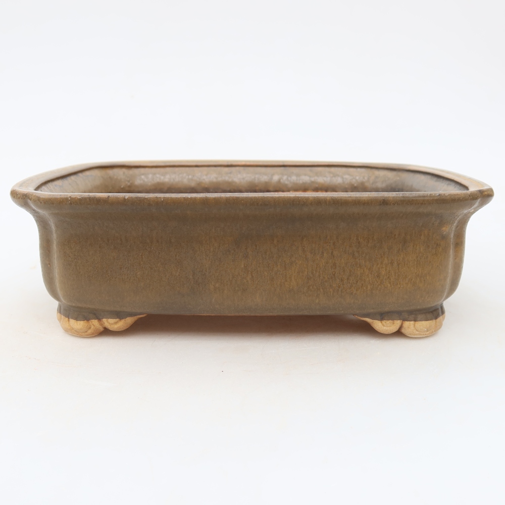 Vaso da bonsai in ceramica 20 x 17,5 x 6 cm, colore marrone