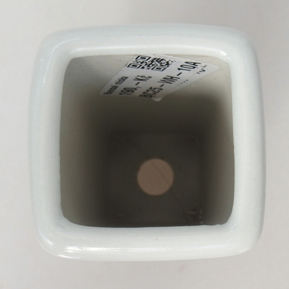 Ciotola per bonsai in ceramica 5,5 x 5,5 x 12 cm, colore bianco