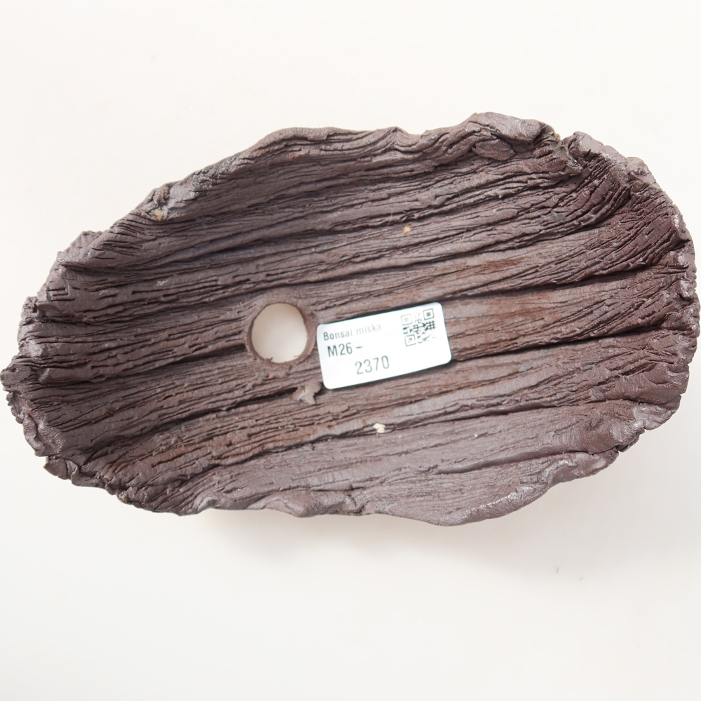Guscio in ceramica  14,5 x 11 x 12 cm, colore marrone