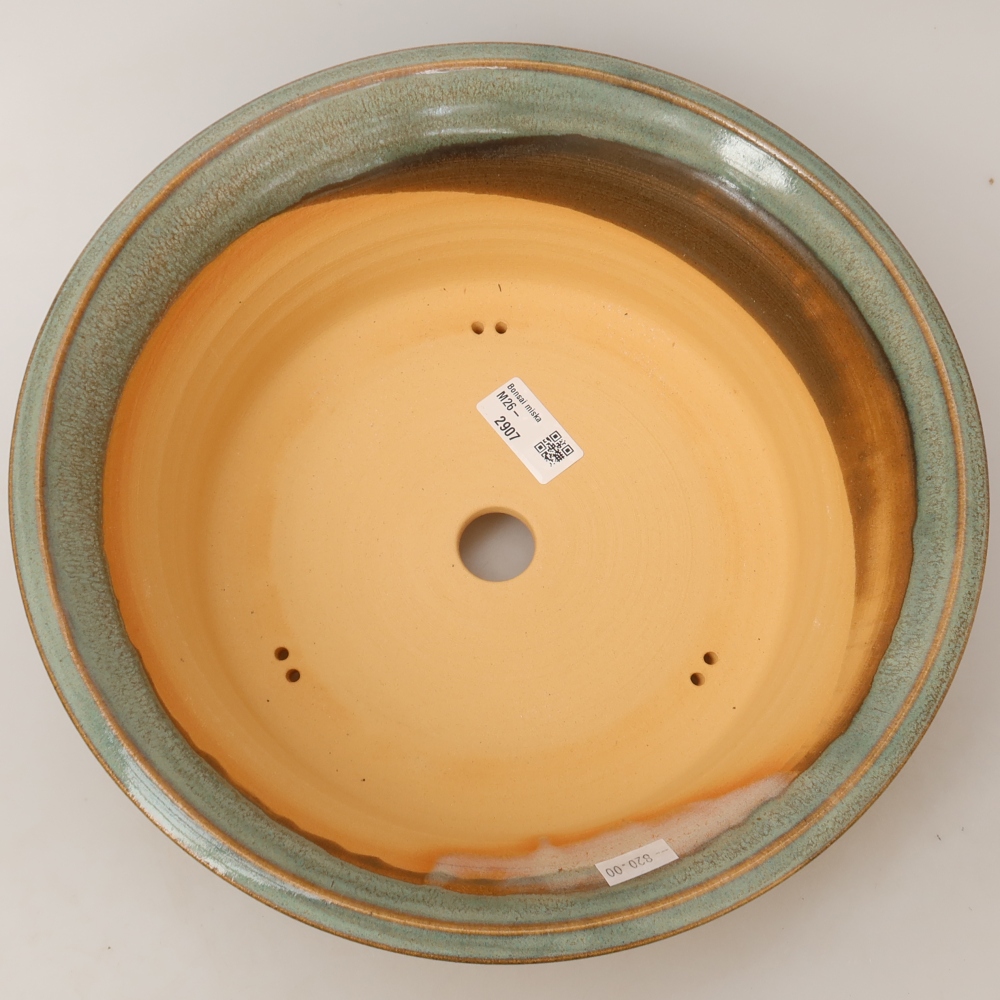 Vaso da bonsai in ceramica 30 x 30 x 9,5 cm, colore verde