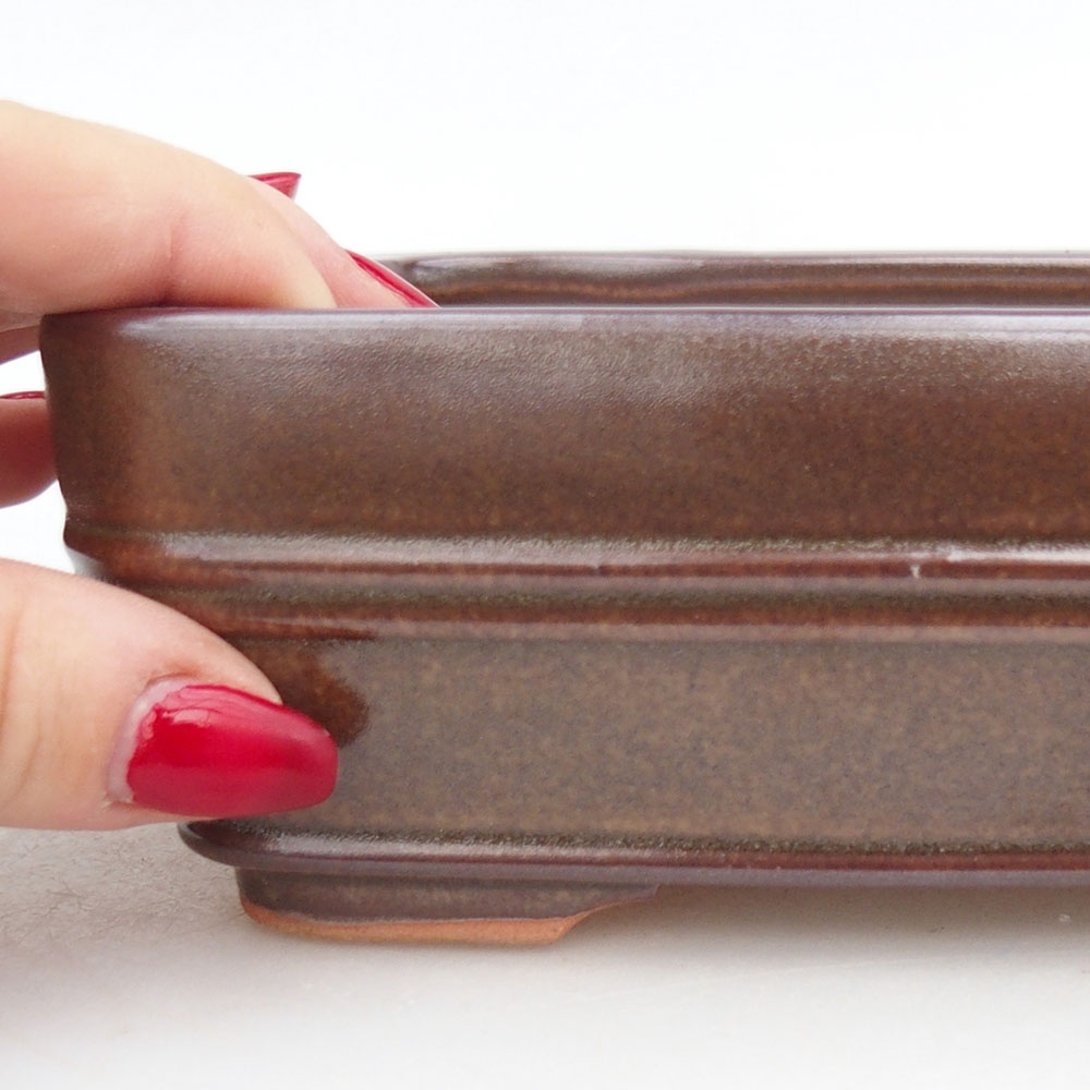 Ciotola bonsai in ceramica 17 x 12 x 5,5 cm, marrone