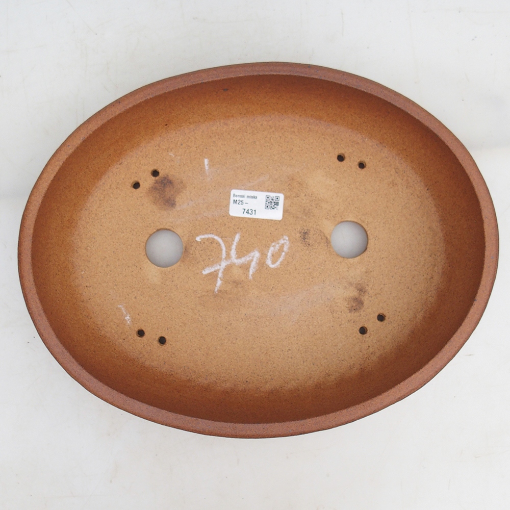 Ciotola bonsai 33 x 26 x 7,5 cm , colore marrone