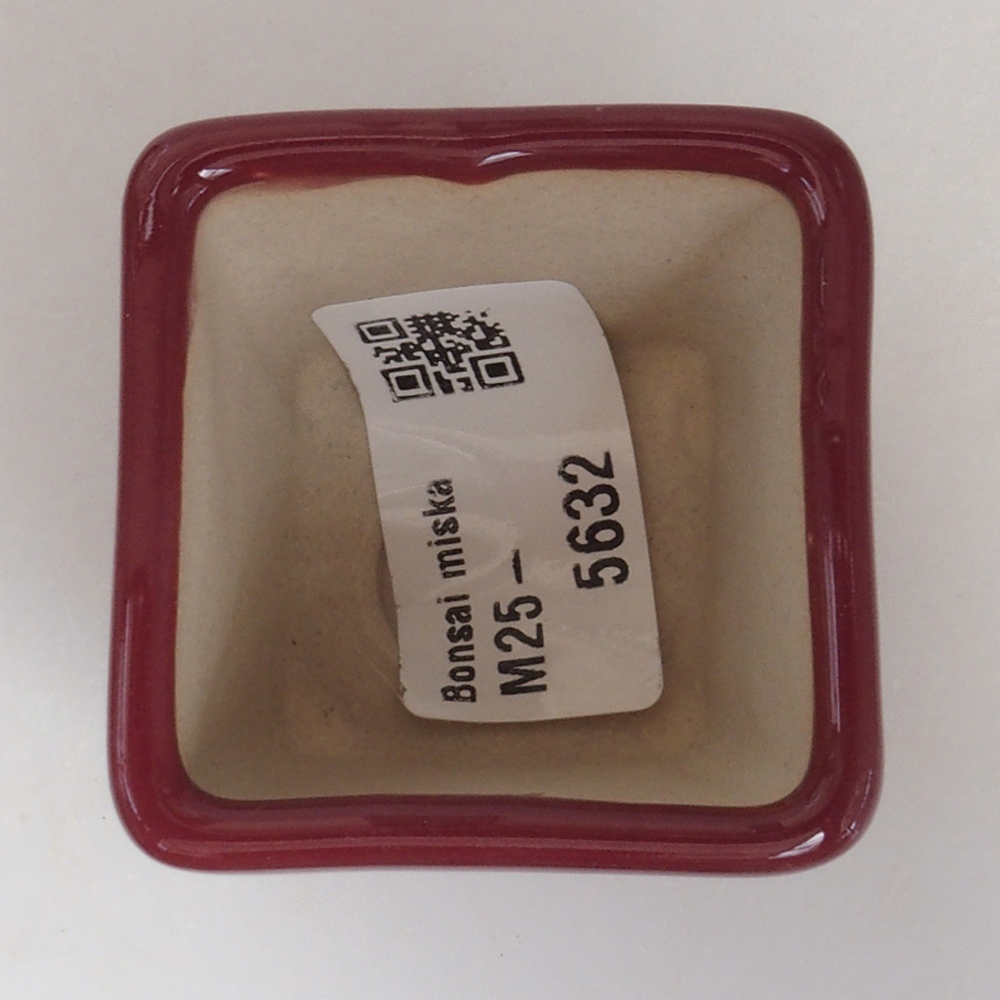 Mini bonsai 4,5 x 4,5 x 4,5 cm, bordeaux