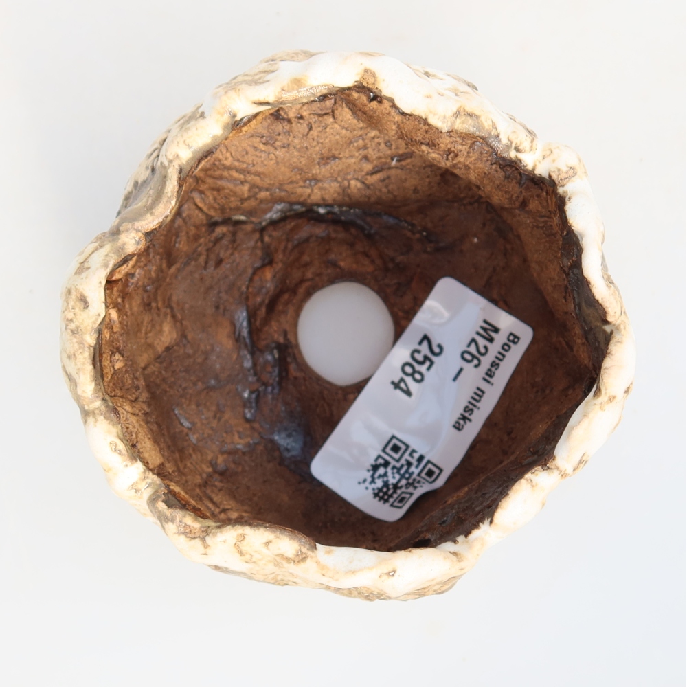 Guscio in ceramica  7,5 x 7 x 5 cm, colore bianco-marrone