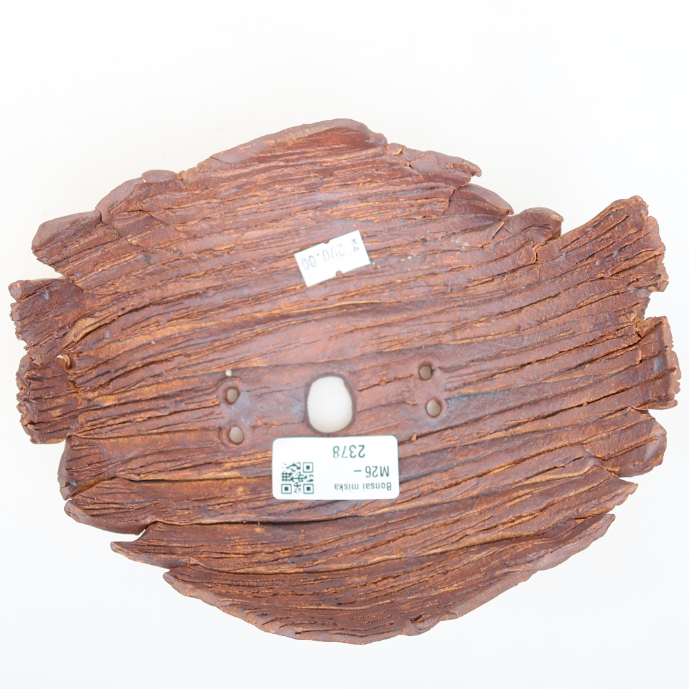Conchiglia in ceramica  18 x 15 x 8 cm, colore marrone