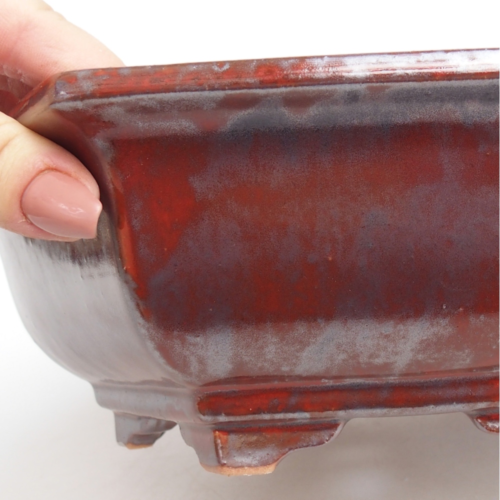 Ciotola bonsai in ceramica 24,5 x 22 x 7,5 cm, colore nero rosso