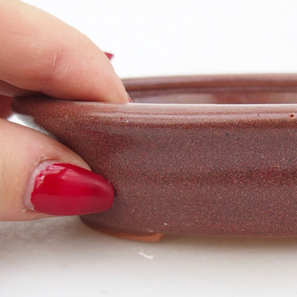 Ciotola per bonsai in ceramica 12 x 10 x 3 cm, bordeaux