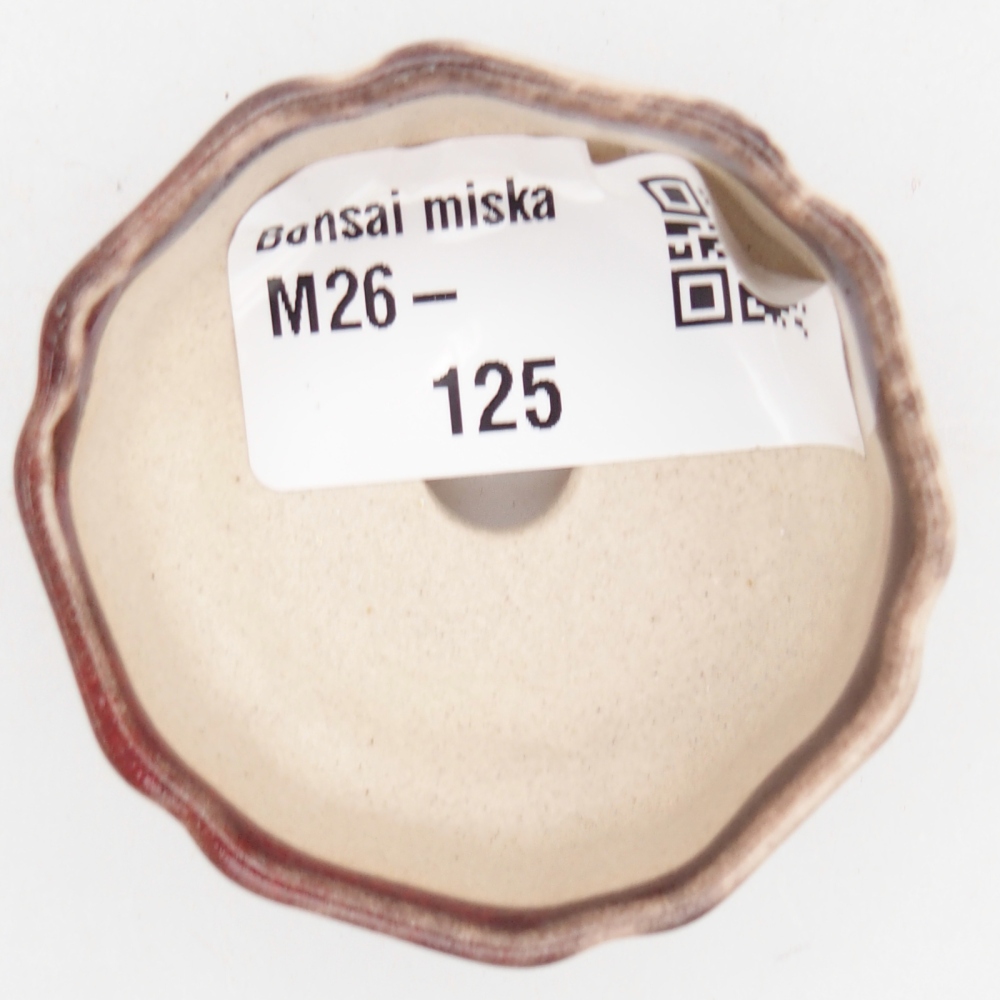 Mini bonsai 4,5 x 4,5 x 2 cm, colore rosso