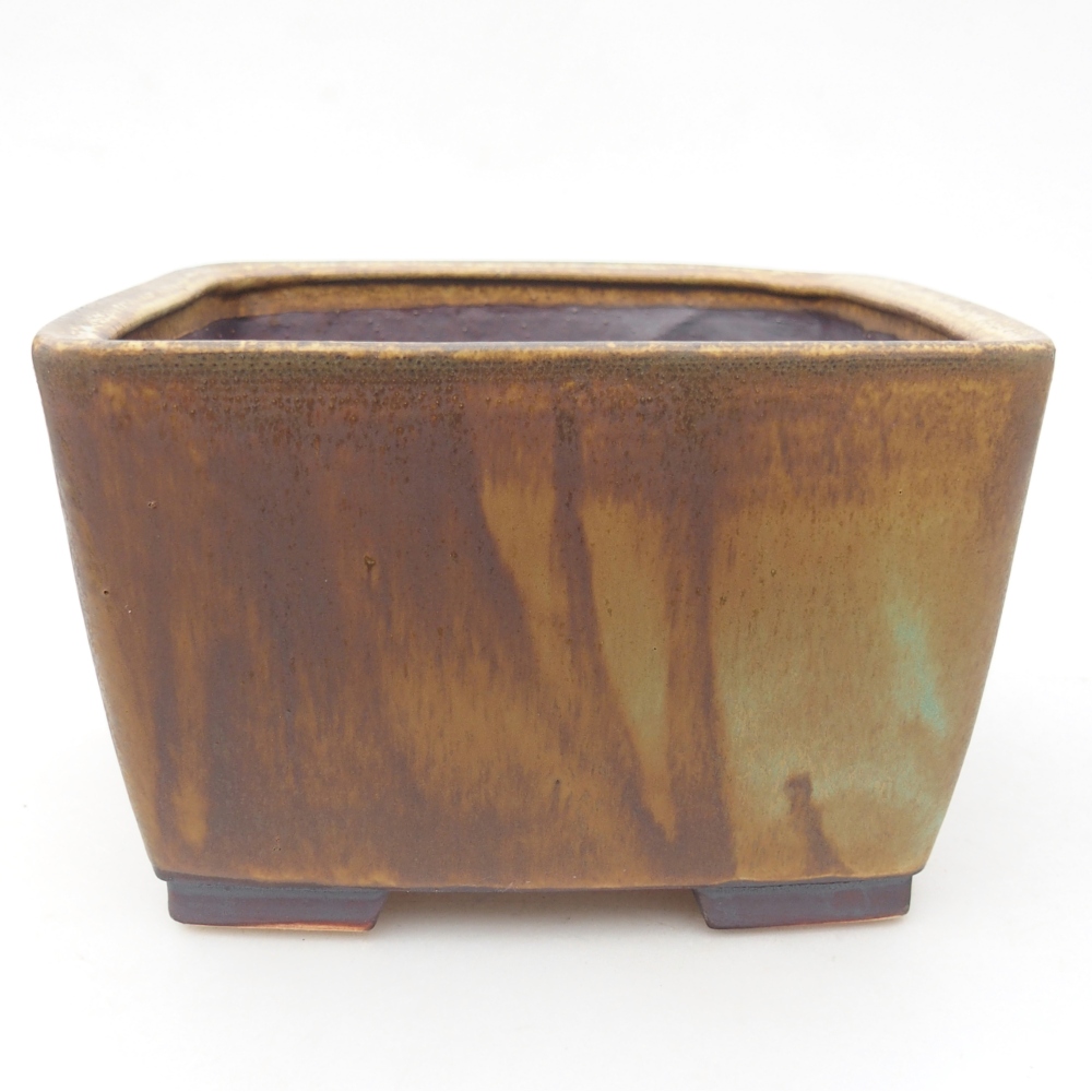 Ciotola bonsai in ceramica 16 x 16 x 10 cm, verde