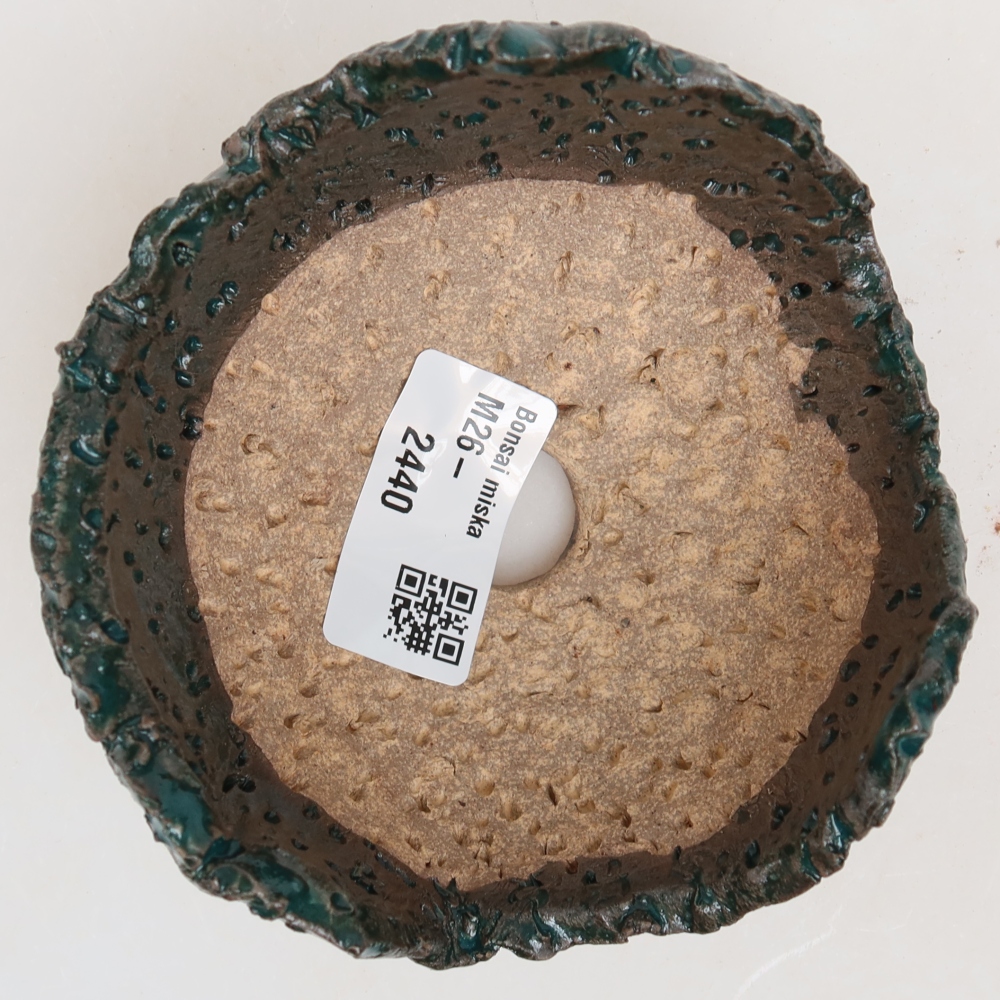 Guscio in ceramica  10 x 10 x 6,5 cm, colore verde