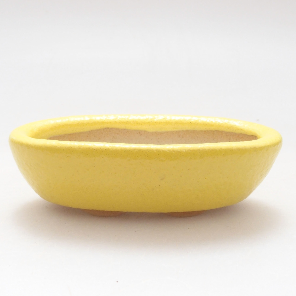Ciotola per bonsai in ceramica 6,5 x 3,5 x 2 cm, giallo