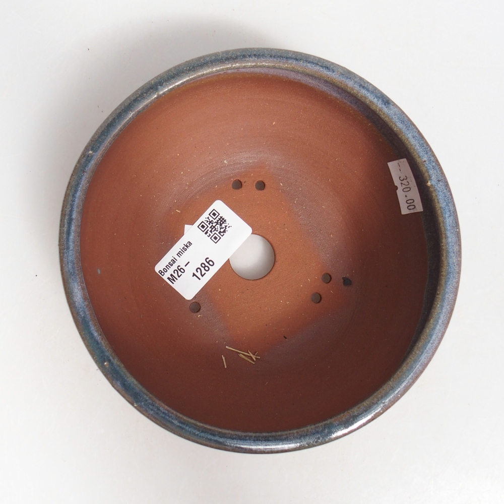 Ciotola per bonsai in ceramica 15 x 15 x 5,5 cm, colore blu