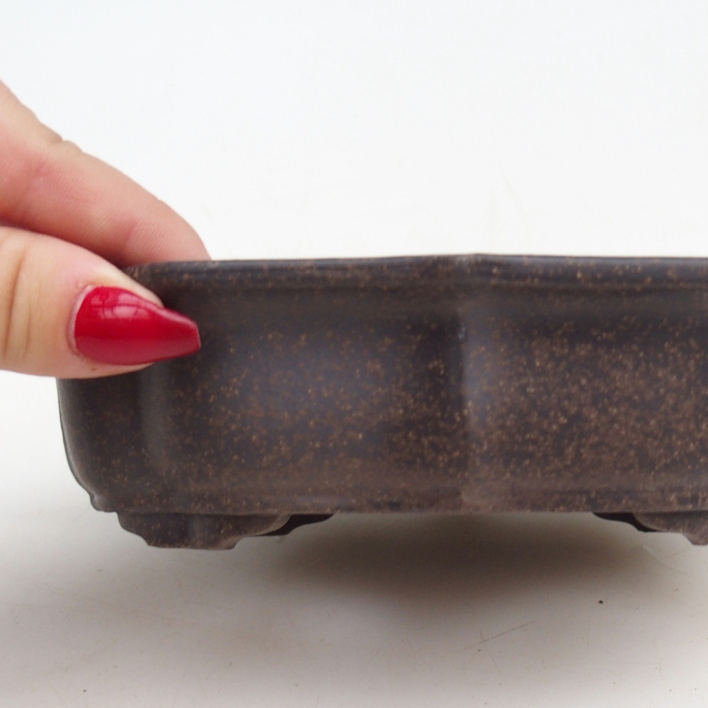 Ciotola per bonsai in ceramica 16,5 x 13 x 4 cm, colore marrone ocra