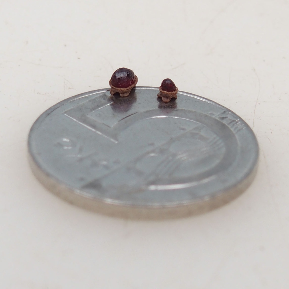 Suiseki - Pietra con DAI (base in legno)