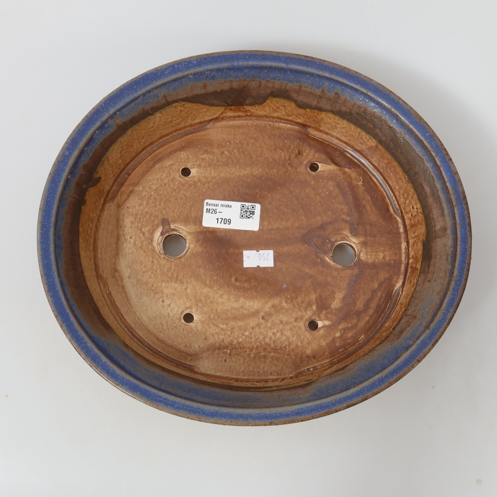 Vaso da bonsai in ceramica 27 x 24,5 x 5,5 cm, colore blu