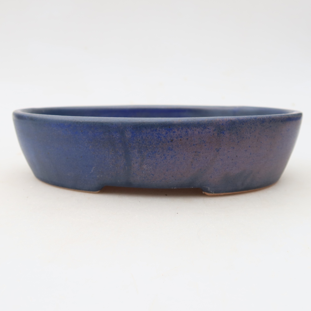 Vaso da bonsai in ceramica 17 x 14 x 4 cm, colore blu
