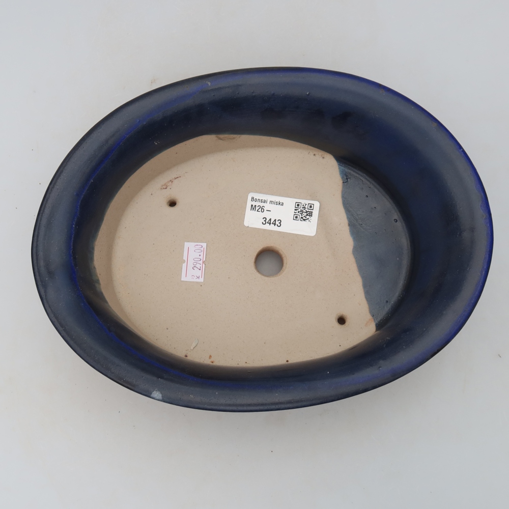 Vaso da bonsai in ceramica 22,5 x 17,5 x 6,5 cm, colore blu
