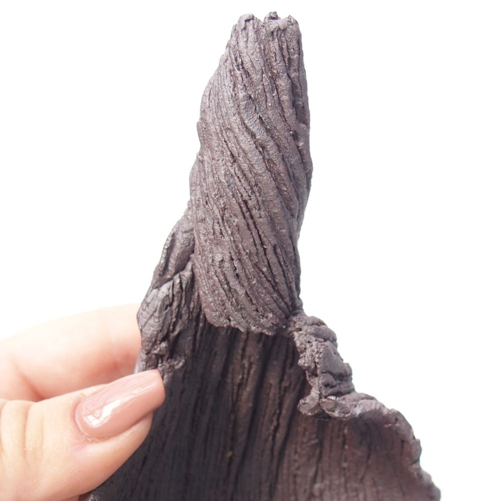 Conchiglia in ceramica 8 x 9 x 14 cm, colore metallizzato