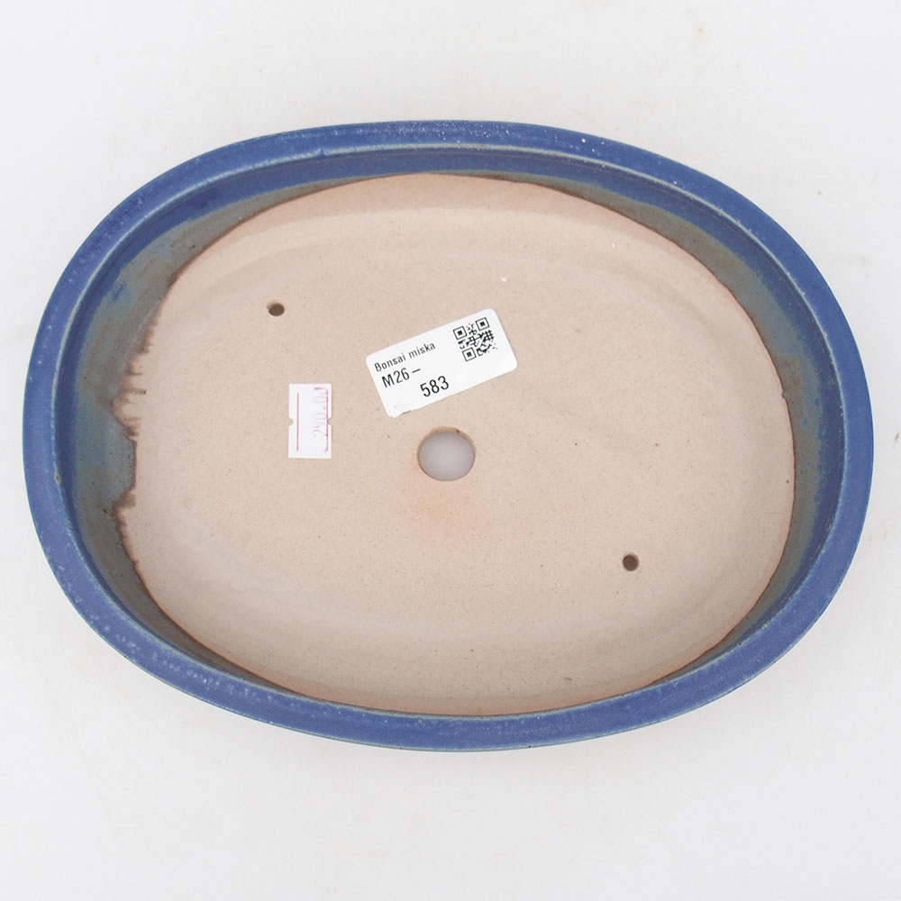 Ciotola bonsai in ceramica 22 x 17 x 4 cm, colore blu
