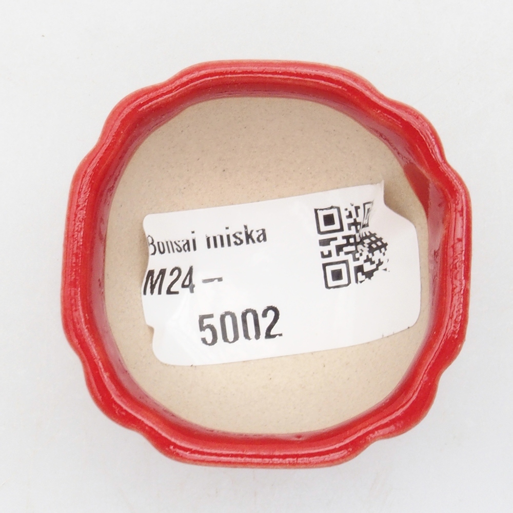 Mini bonsai 4 x 4 x 2,5 cm, colore rosso