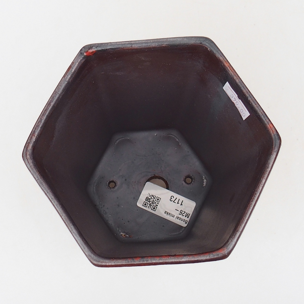Ciotola per bonsai in ceramica 13 x 11,5 x 17 cm, colore rosso