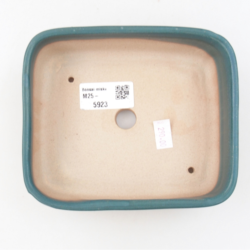 Ciotola bonsai in ceramica 22 x 17 x 5 cm, verde