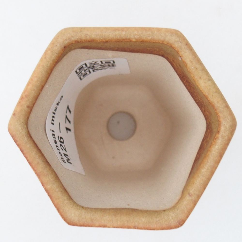 Ciotola per mini bonsai 5,5 x 5 x 5 cm, marrone