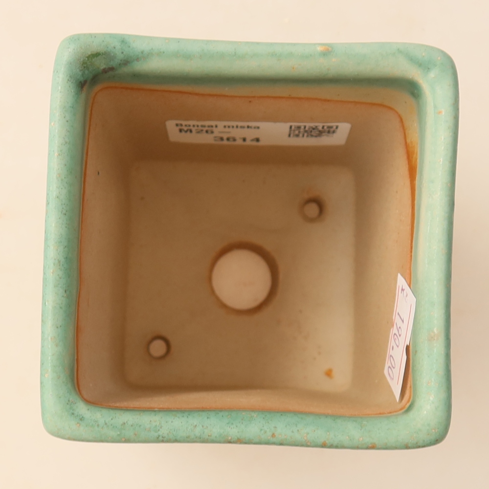 Vaso da bonsai in ceramica 7,5 x 7,5 x 10 cm, colore verde