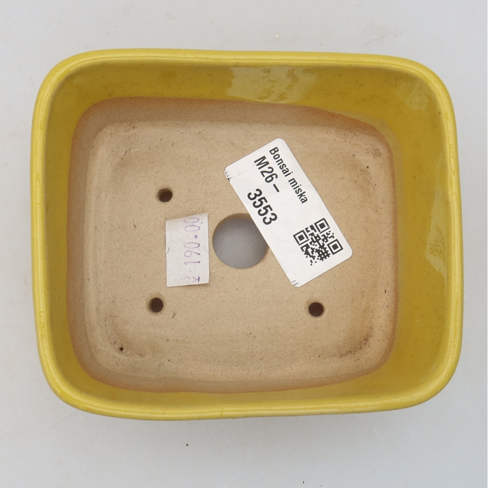 Vaso da bonsai in ceramica 10,5 x 8,5 x 4 cm, colore giallo