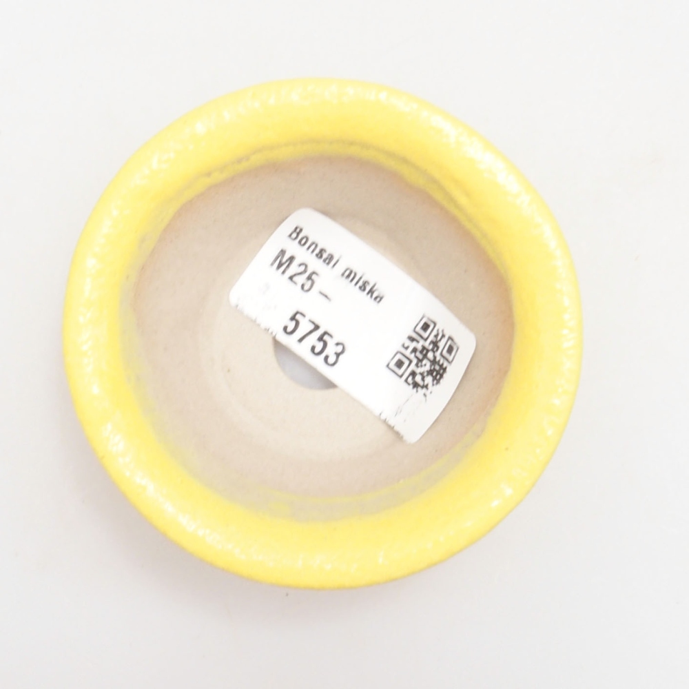 Ciotola bonsai in ceramica 7 x 7 x 2,5 cm, giallo