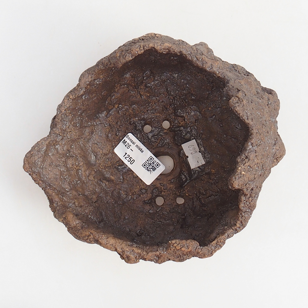 Conchiglia in ceramica 16 x 14 x 14 cm , colore marrone