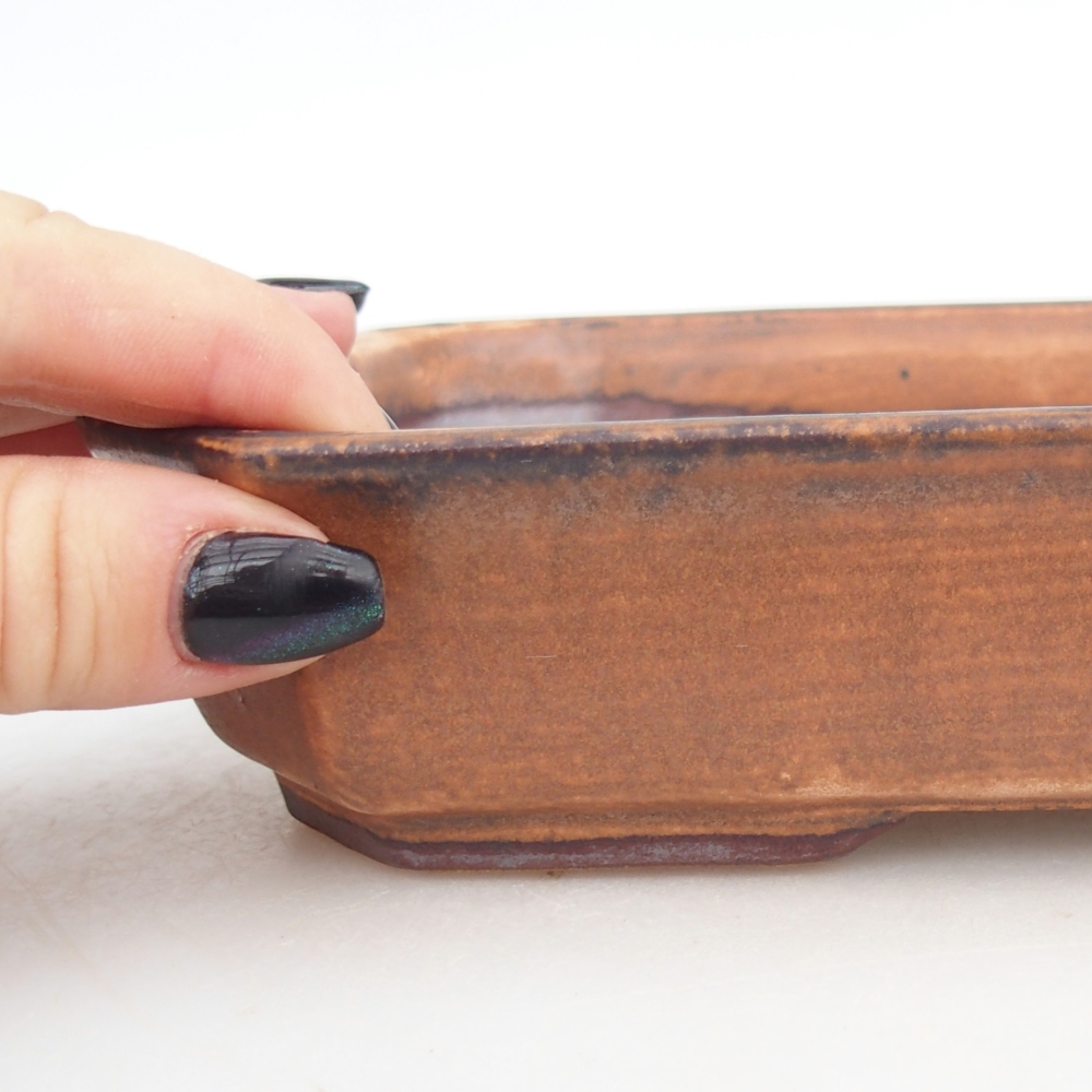 Ciotola per bonsai in ceramica 18,5 x 13,5 x 4,5 cm, marrone