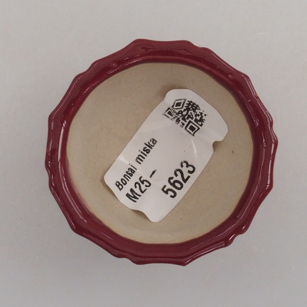Ciotola per mini bonsai 5 x 5 x 3 cm, bordeaux