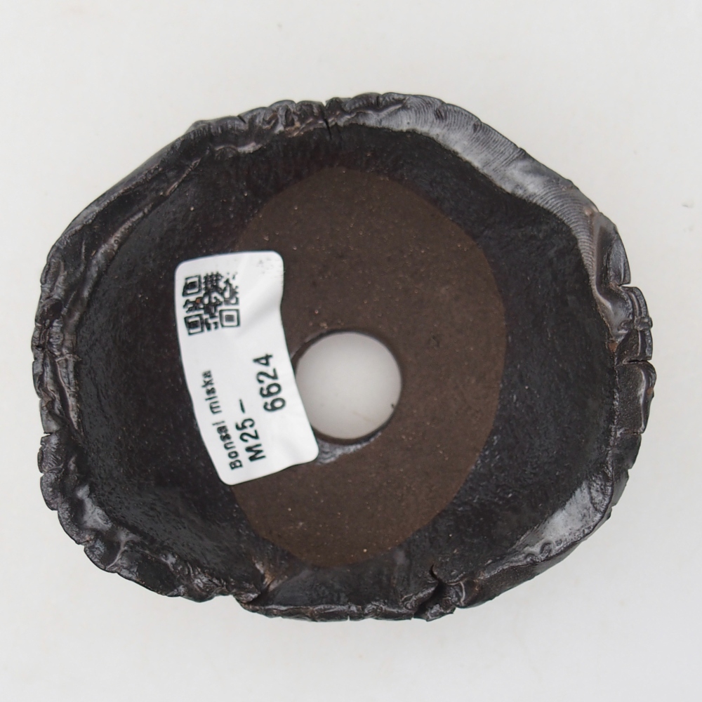 Conchiglia in ceramica 9 x 8 x 5 cm , colore nero