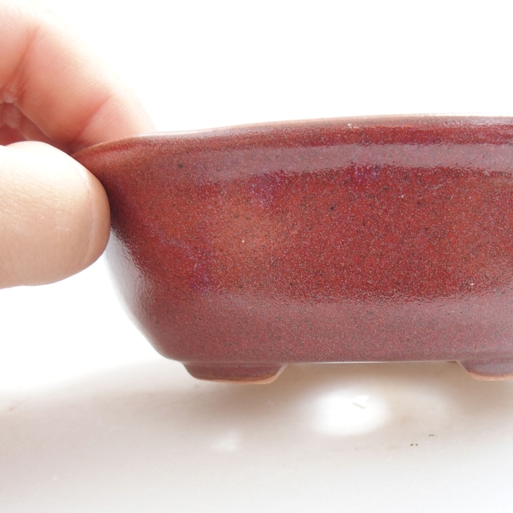 Ciotola bonsai in ceramica 22 x 17 x 5 cm, verde