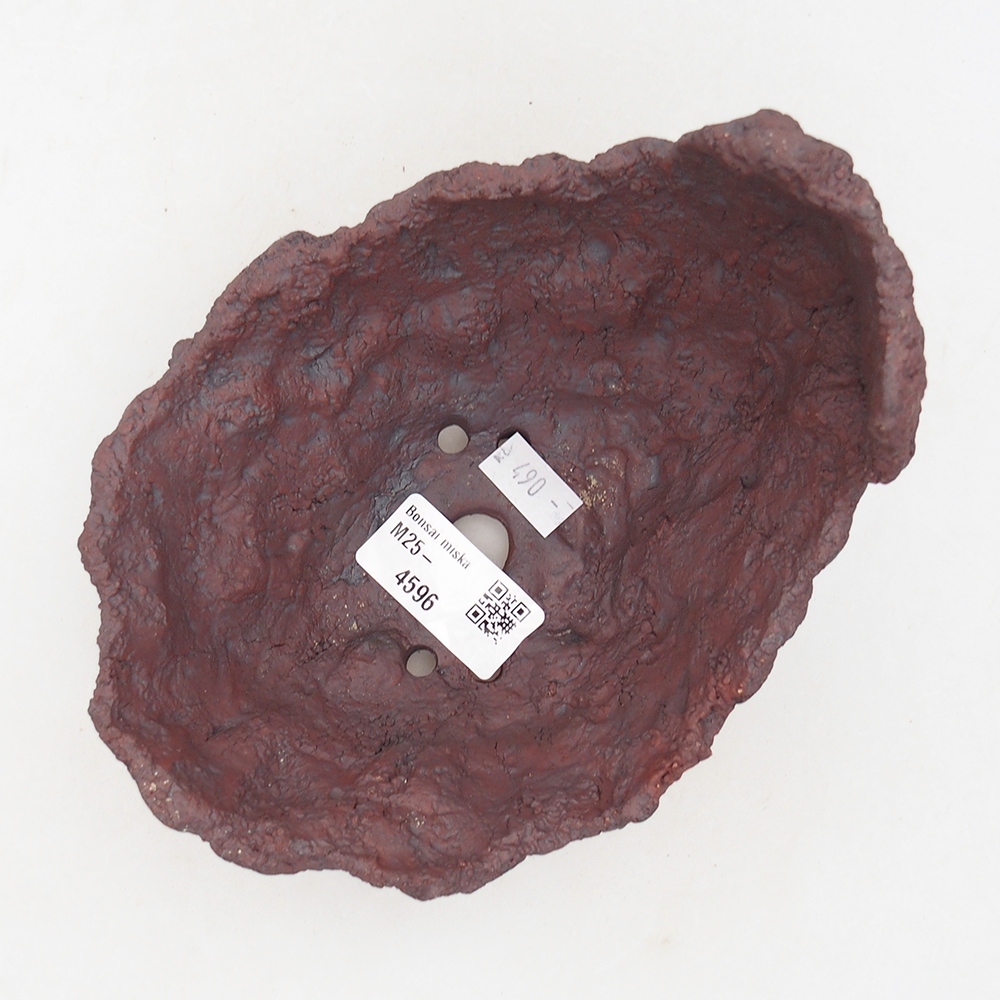 Conchiglia in ceramica 14 x 12,5 x 12 cm , colore marrone