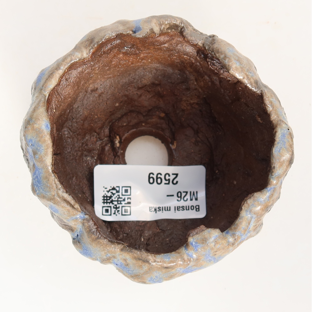 Guscio in ceramica  7,5 x 7,5 x 5,5 cm, colore blu-marrone