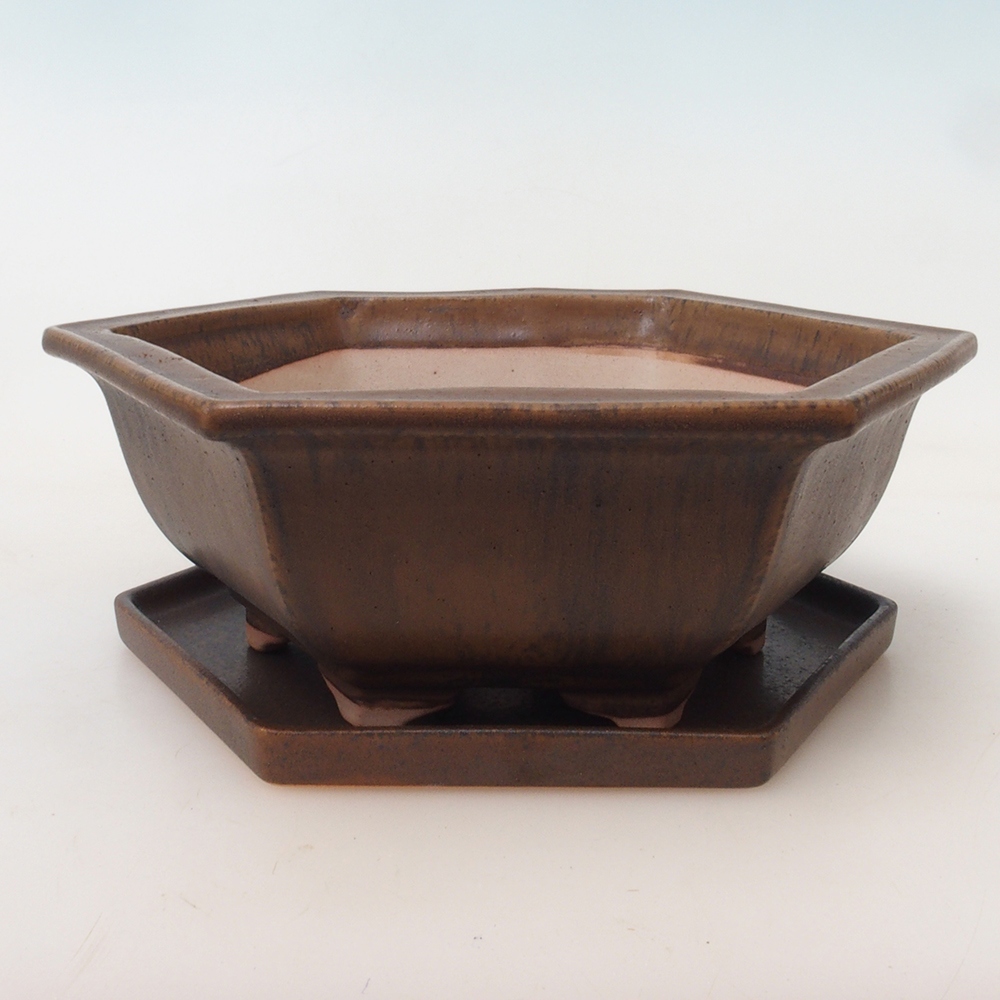 Ciotola bonsai + piattino H53 - 19 x 21,5 x 7 cm - marrone