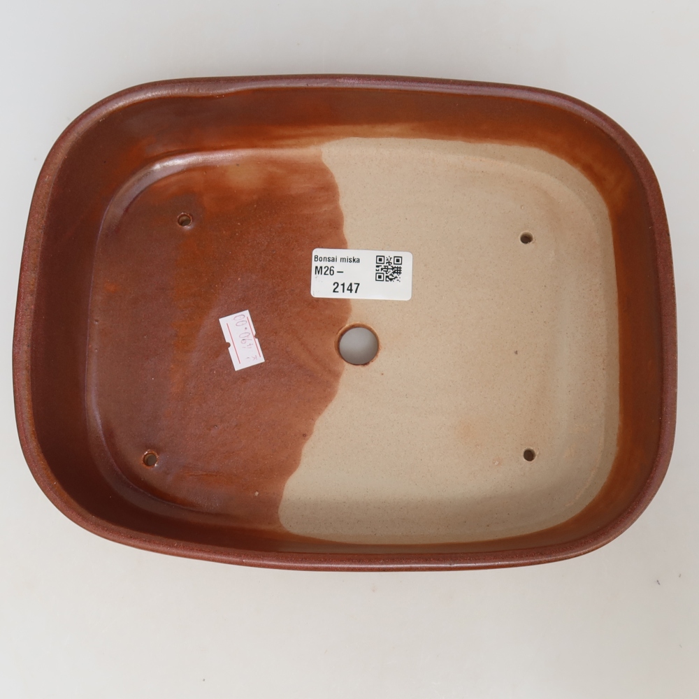 Ciotola per bonsai in ceramica 23 x 18 x 5,5 cm, bordeaux