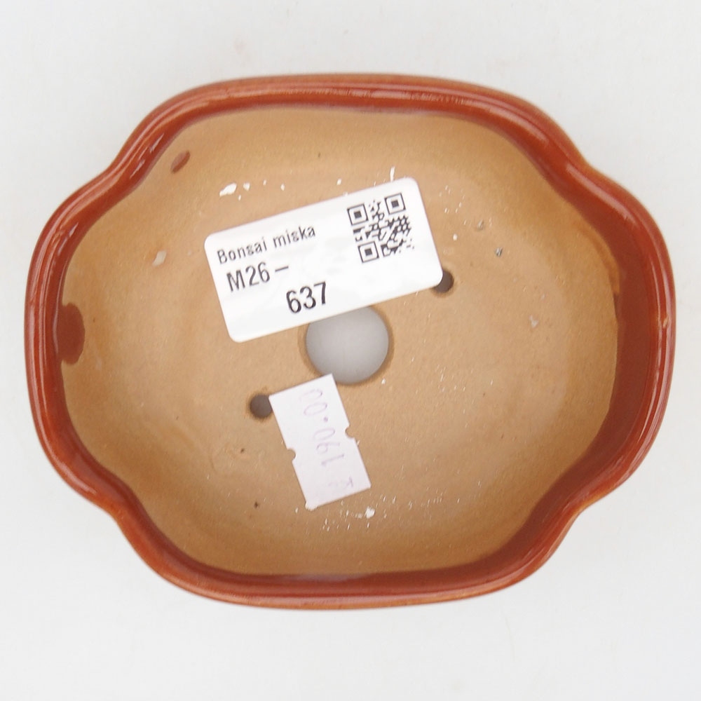 Ciotola per bonsai in ceramica 125 x 10 x 3 cm, marrone